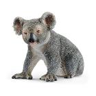 Koala (2514815)