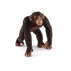 Scimpanzé Maschio (2514817)