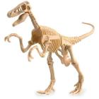 Velociraptor da scavare (IP30295)