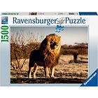 Il leone, re degli animali Puzzle 1500 pz (17107)