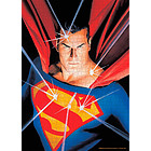 Superman - DC Universe - Puzzle 1000 pezzi (73786)