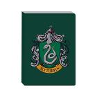 Harry Potter - A5 Exercise Book - Harry Potter (Slytherin) (NBA5HP69)