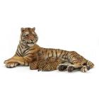 Tigre coricata allatta (50156)