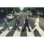 Beatles (The): Abbey Road (Maxi Poster 61x91,50 Cm)