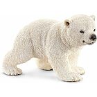 Cucciolo di orso polare (14708)