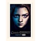 Game Of Thrones (Season 3 - Arya) (Stampa 30X40 Cm)