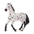 Grande cavallo Appaloosa (PAP50199)