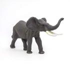 Elefante (PAP50215)