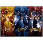 Harry, Ron e Hermione. Puzzle 1000 pz - Harry Potter