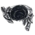 Wild Black Rose (Anello Tg. Q/T)