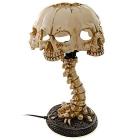 Atrocity Natural Bone Skull N Spine Lamp