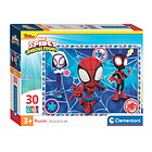 Spidey & Friends 30 pz (20285I)