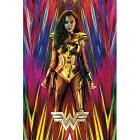 DC Comics Wonder Woman Poster (91,5x61) (ABYDCO632)