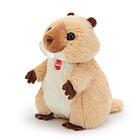 Marmotta XXS Sweet Collection (51304)