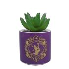 Disney Aladdin - Purple (Plant Pot Faux Boxed 6.5 Cm / Pianta Finta Con Vaso)