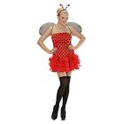 Coccinella (Vestito, Ali, Antenne) L