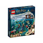 Torneo dei Tremaghi: il Lago Nero - Lego Harry Potter (76420)