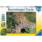 Vio il leopardo - Puzzle 100 pezzi XXL (13345)