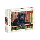The Black dog 500 pezzi High Quality Collection (30346)
