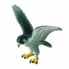 Falco pellegrino (69356)
