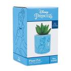 Disney Cinderella (Plant Pot Faux Boxed 6.5 Cm / Pianta Finta Con Vaso)