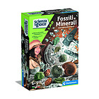 Fossili E Minerali