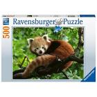 Puzzle 500 pz Panda rosso