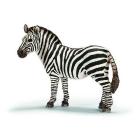 Zebra femmina (14392)