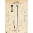 Harry Potter: The Wand (Maxi Poster 61x91,50 Cm)