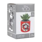 Disney Mickey Mouse (Plant Pot Faux Boxed 6.5 Cm / Pianta Finta Con Vaso)