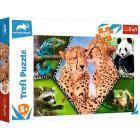 Puzzle 100 - Beautiful Nature / Discovery Animal Planet