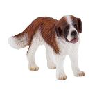 Cane - St. Bernard Ben (65445)