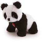 Panda Sweet Collection (29463)