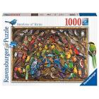 Puzzle 1000 pz - Illustrati Arcobaleno di uccelli