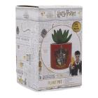 Harry Potter Gryffindor (Plant Pot Faux Boxed 6.5 Cm / Pianta Finta Con Vaso)