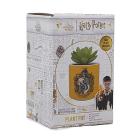 Harry Potter Hufflepuff (Plant Pot Faux Boxed 6.5 Cm / Pianta Finta Con Vaso)