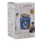 Harry Potter Ravenclaw(Plant Pot Faux Boxed 6.5 Cm / Pianta Finta Con Vaso)