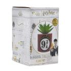 Harry Potter Platform 9 3/4 (Plant Pot Faux Boxed 6.5 Cm / Pianta Finta Con Vaso)