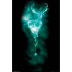 Harry Potter - Patronus Stag (Poster Maxi 61x91,5cm)