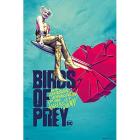 Birds Of Prey: Broken Heart Poster