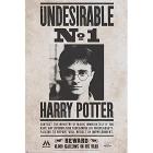 Harry Potter - Undesiderable N.1 - Poster (91,5x61) (ABYDCO768)