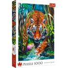 Puzzle 1000 - Tigre Grasping Tiger (0528)