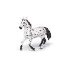 Cavallo nero appaloosa (PAP51539)