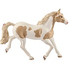 Giumenta paint horse (2513884)