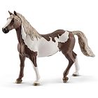 Castrone paint horse (2513885)