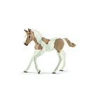 Puledro paint horse (2513886)