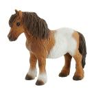 Cavalli - Shetland Pony (62566)