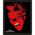 The Lost Boys - David - Poster 3d