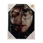 Hp Half Face Harry&Voldemort Glass Poste