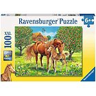 Puzzle 100 XXL Cavalli (105779)